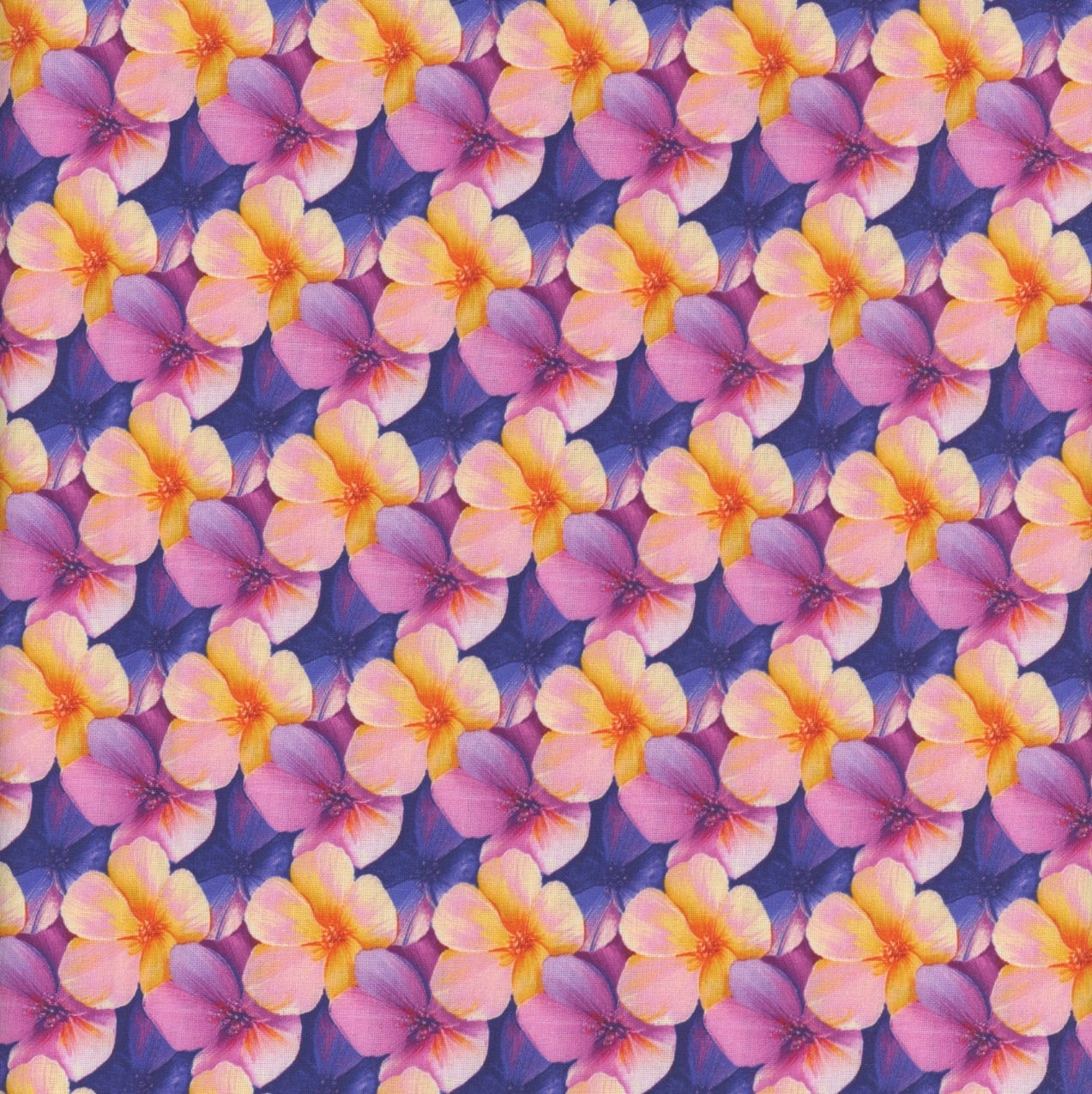 Studio E Fabrics Fabrics Flower Fusion Crazy Marie Purple Pink